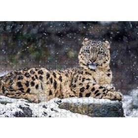Cakapuzzle Dişi Kar Leoparı Kayalıkta Mdf 500 Parça Puzzle