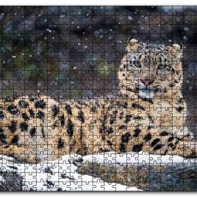 Cakapuzzle Dişi Kar Leoparı Mdf 500 Parça Puzzle
