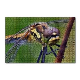 Cakapuzzle Dişi Yusufçuk Makro Çekim 120 Parça Ahşap Puzzle