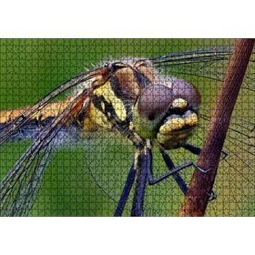 Cakapuzzle Dişi Yusufçuk Makro Çekim 120 Parça Ahşap Puzzle