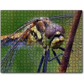Cakapuzzle Dişi Yusufçuk Makro Çekim Mdf 255 Parça Puzzle