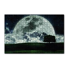 Cakapuzzle Doğa Gecede Ay Güzelliği 120 Parça Ahşap Puzzle
