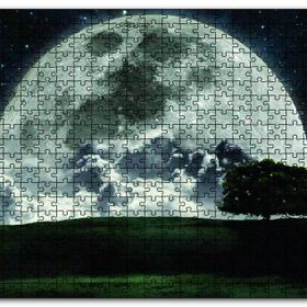 Cakapuzzle Doğa Gecede Ay Güzelliği Ahşap 500 Parça Puzzle