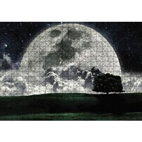 Cakapuzzle Doğa Gecede Ay Güzelliği Ahşap 500 Parça Puzzle