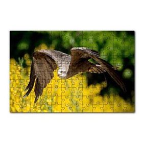 Cakapuzzle Doğada Alçakta Uçan Şahin Görseli 120 Parça Ahşap Puzzle
