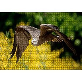 Cakapuzzle Doğada Alçakta Uçan Şahin Görseli 120 Parça Ahşap Puzzle