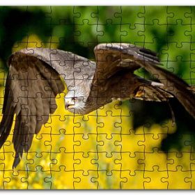 Cakapuzzle Doğada Alçakta Uçan Şahin Görseli Mdf 1000 Parça Puzzle