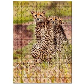 Cakapuzzle Doğada Çita Ailesi Görseli Mdf 1000 Parça Puzzle