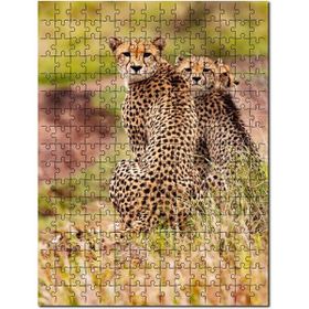 Cakapuzzle Doğada Çita Ailesi Görseli Mdf 500 Parça Puzzle
