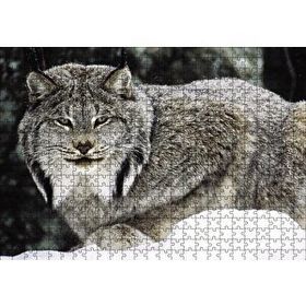 Cakapuzzle Doğada Kanada Vaşağı 120 Parça Ahşap Puzzle