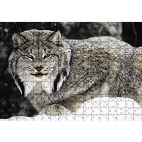 Cakapuzzle Doğada Kanada Vaşağı 120 Parça Ahşap Puzzle