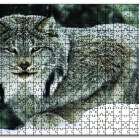 Cakapuzzle Doğada Kanada Vaşağı Ahşap 500 Parça Puzzle