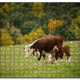 Cakapuzzle Doğada Öküz ve Dana Koşturmacası Görseli Mdf 255 Parça Puzzle