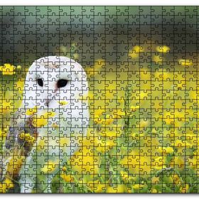 Cakapuzzle Doğada Peçeli Baykuş Ahşap 255 Parça Puzzle
