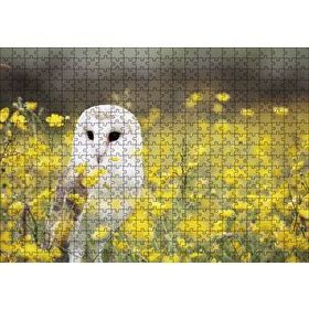 Cakapuzzle Doğada Peçeli Baykuş Ahşap 500 Parça Puzzle