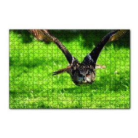 Cakapuzzle Doğada Üçan Baykuş 120 Parça Ahşap Puzzle