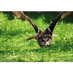 Cakapuzzle Doğada Üçan Baykuş 120 Parça Ahşap Puzzle