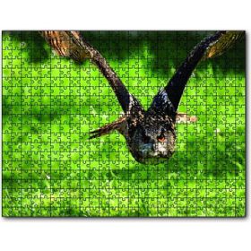 Cakapuzzle Doğada Üçan Baykuş 255 Parça Puzzle