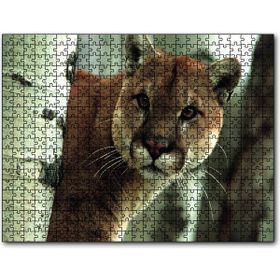 Cakapuzzle Doğadaki Puma 1000 Parça Puzzle
