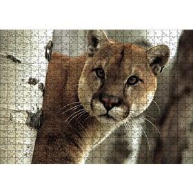 Cakapuzzle Doğadaki Puma 120 Parça Ahşap Puzzle