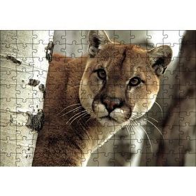 Cakapuzzle Doğadaki Puma 120 Parça Ahşap Puzzle