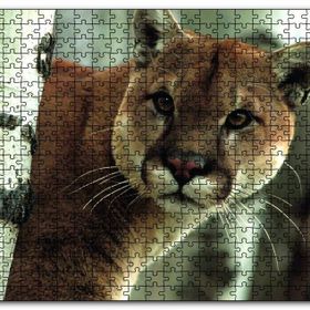 Cakapuzzle Doğadaki Puma Mdf 120 Parça Puzzle