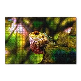 Cakapuzzle Doğal Yaşamda İguana 120 Parça Ahşap Puzzle