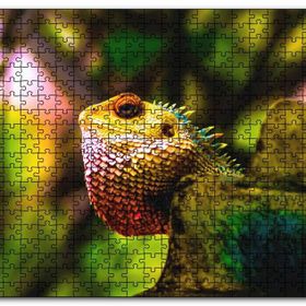 Cakapuzzle Doğal Yaşamda İguana Mdf 1000 Parça Puzzle
