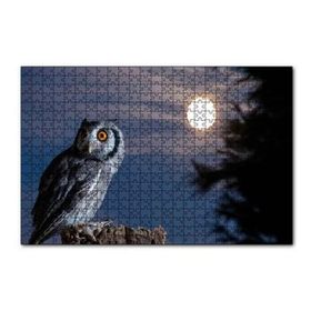 Cakapuzzle Dolunay ve Kütüğün Üzerindeki Baykuş 120 Parça Ahşap Puzzle