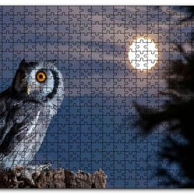 Cakapuzzle Dolunay ve Kütüğün Üzerindeki Baykuş Mdf 255 Parça Puzzle