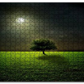 Cakapuzzle Dolunayda Çayırlar Yalnız Ağaç Ahşap 500 Parça Puzzle