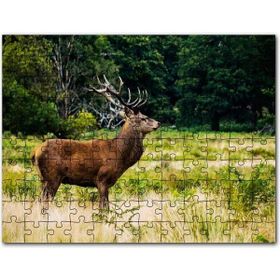 Cakapuzzle Dolunayda Şirin Kulübe ve Bahçede Ağaçlar Mdf 255 Parça Puzzle
