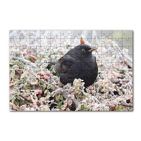Cakapuzzle Donmuş Çalıların Arasındaki Karatavuk 120 Parça Ahşap Puzzle