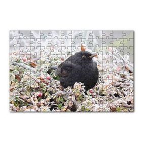 Cakapuzzle Donmuş Çalıların Arasındaki Karatavuk 120 Parça Ahşap Puzzle