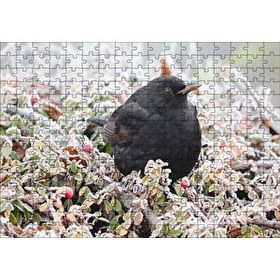Cakapuzzle Donmuş Çalıların Arasındaki Karatavuk 120 Parça Ahşap Puzzle