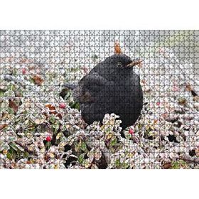 Cakapuzzle Donmuş Çalıların Arasındaki Karatavuk 120 Parça Ahşap Puzzle