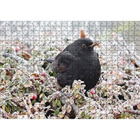 Cakapuzzle Donmuş Çalıların Arasındaki Karatavuk 120 Parça Ahşap Puzzle