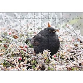 Cakapuzzle Donmuş Çalıların Arasındaki Karatavuk 120 Parça Ahşap Puzzle