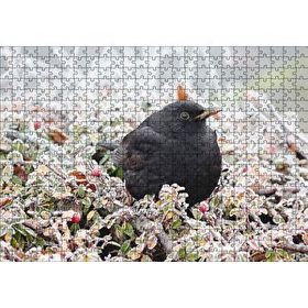 Cakapuzzle Donmuş Çalıların Arasındaki Karatavuk 120 Parça Ahşap Puzzle