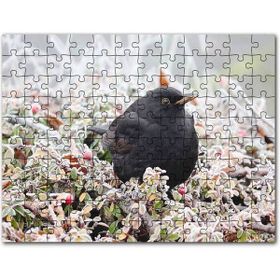 Cakapuzzle Donmuş Çalıların Arasındaki Karatavuk Mdf 120 Parça Puzzle