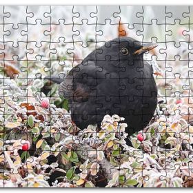 Cakapuzzle Donmuş Çalıların Arasındaki Karatavuk Mdf 255 Parça Puzzle