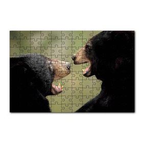 Cakapuzzle Dövüşen Kahverengi Ayılar Yakın Çekim 120 Parça Ahşap Puzzle