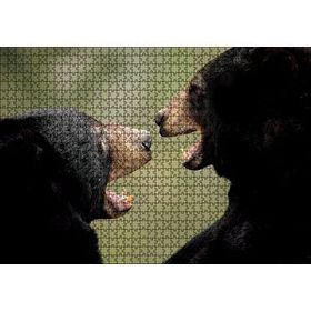 Cakapuzzle Dövüşen Kahverengi Ayılar Yakın Çekim 120 Parça Ahşap Puzzle
