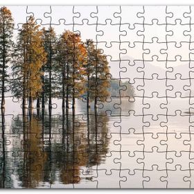 Cakapuzzle Durgun Gölde Ağaçlar Sisli Arkaplan Mdf 255 Parça Puzzle