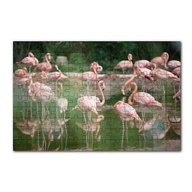 Cakapuzzle Durgun Gölde Beslenen Flamingolar 120 Parça Ahşap Puzzle
