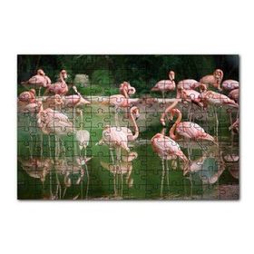 Cakapuzzle Durgun Gölde Beslenen Flamingolar 120 Parça Ahşap Puzzle
