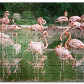 Cakapuzzle Durgun Gölde Beslenen Flamingolar Mdf 1000 Parça Puzzle