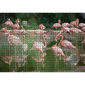 Cakapuzzle Durgun Gölde Beslenen Flamingolar Mdf 1000 Parça Puzzle
