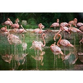 Cakapuzzle Durgun Gölde Beslenen Flamingolar Mdf 255 Parça Puzzle