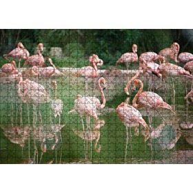 Cakapuzzle Durgun Gölde Beslenen Flamingolar Mdf 500 Parça Puzzle